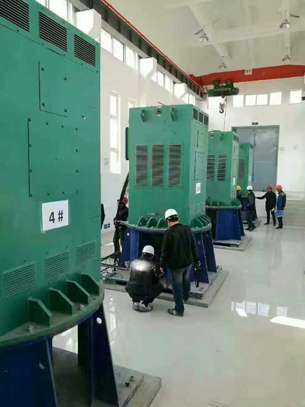 YKK5601-6某污水处理厂使用我厂的立式高压电机安装现场